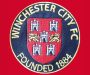 Gosport Borough 1-3 Winchester City: Arresting display by the Citizens stuns Boro