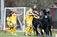 haywards heath town