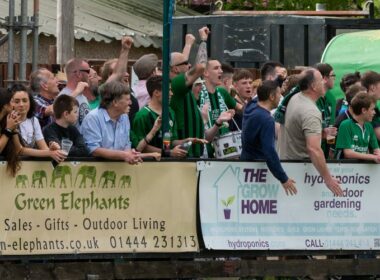 burgess hill town fans